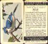 Series 1 - Card 24