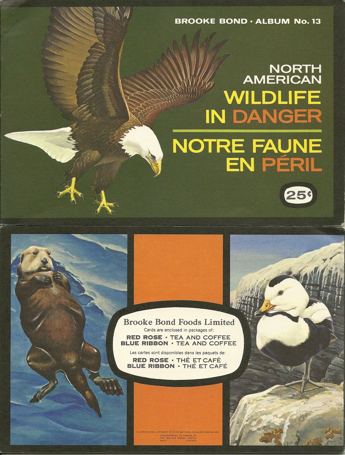 BROOKE BOND USA-BIRDS OF NORTH AMERICA-#13 BLUE WINGED TEAL 