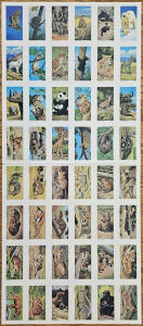 Series 1 Lipton - Front