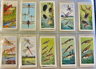 Partial POND LIFE CARD SET