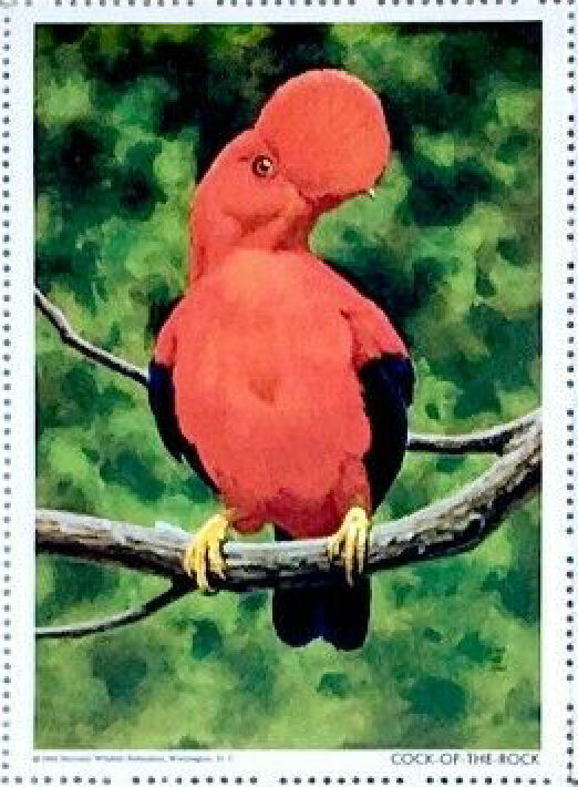 USA Poster stamps: National Wildlife Federation Baby Animal Stamps- ow867