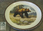 NWF Plate