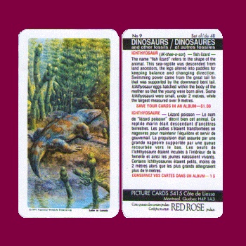 MOUNTAIN GOAT SERIES ANIMALS AND THEIR YOUNG RED ROSE TEA CARD 