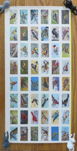 Series 9 Songbirds - Front