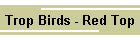 Trop Birds - Red Top