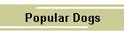 Popular Dogs